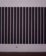 Multiple Line Painting