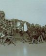 Speculum Italiae (Italy’s Mirror)