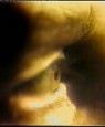 Eye Watching (Occhio che guarda)