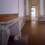 Maurizio Cattelan. Tre installazioni per il Castello