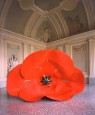 Dropped Flower (Fiore caduto)