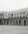m.d.p.n.33