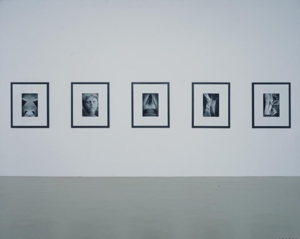 Opera "Piemonte una definizione fotografica (Piedmont a photographic definition)" di Keiichi Tahara