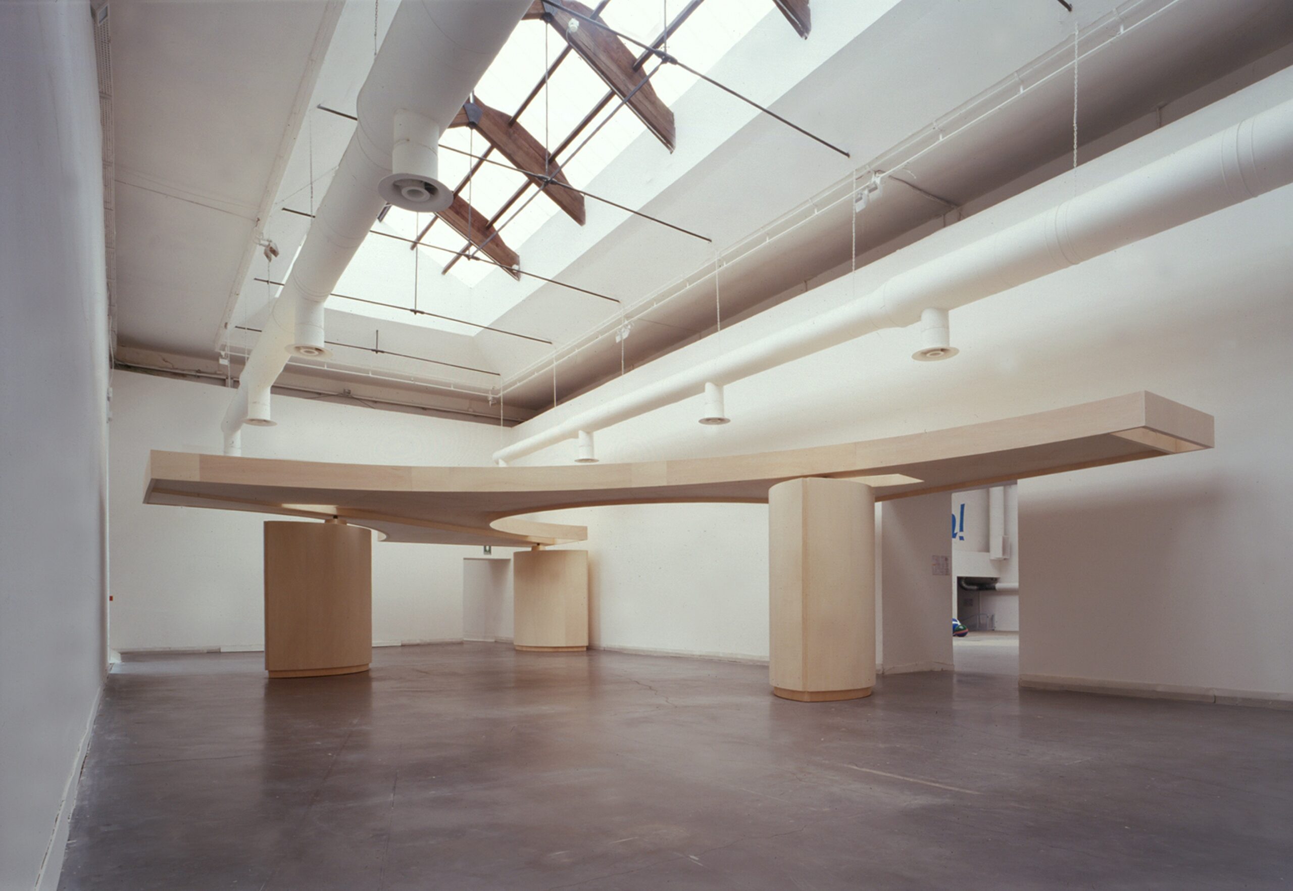 Gabriel Orozco: Shade Between Rings of Air - Castello di Rivoli