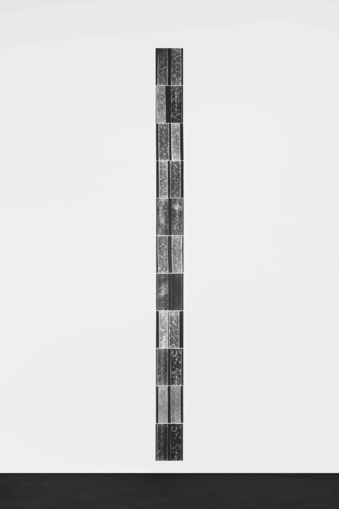 Posidonia (documents)