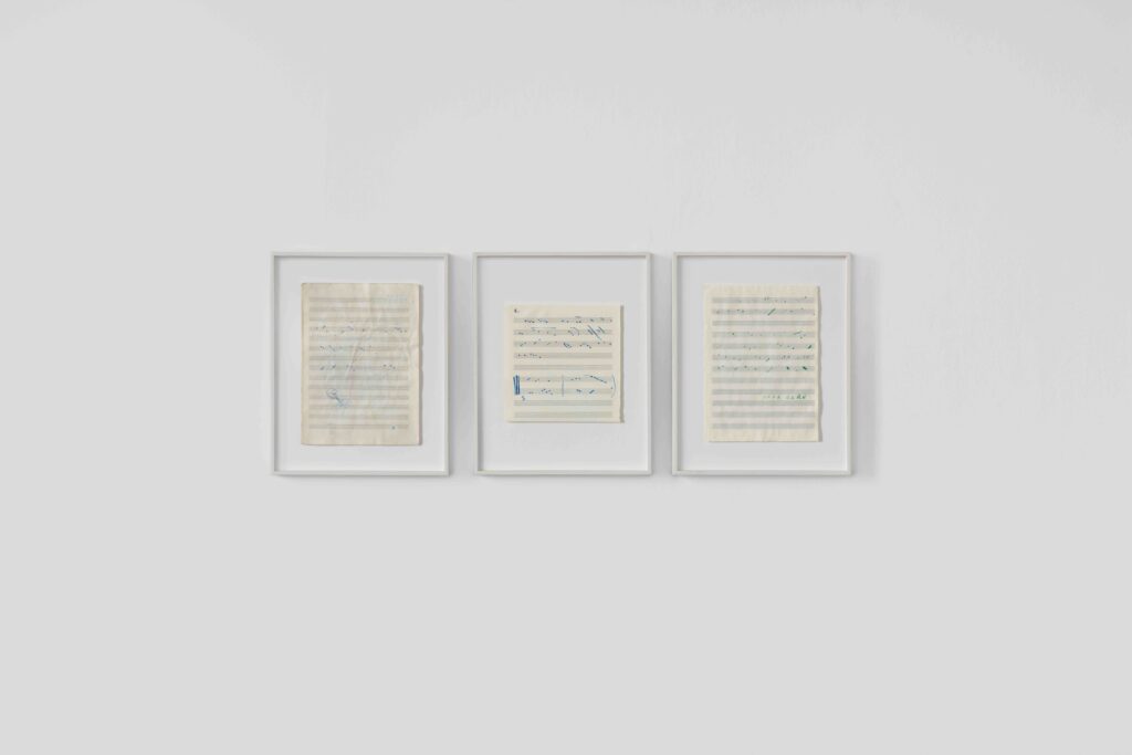 Concertino (documents) by Renato Leotta