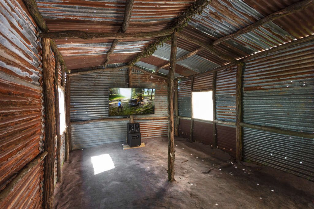 No Tin Shack (Senza baracca di lamiera)