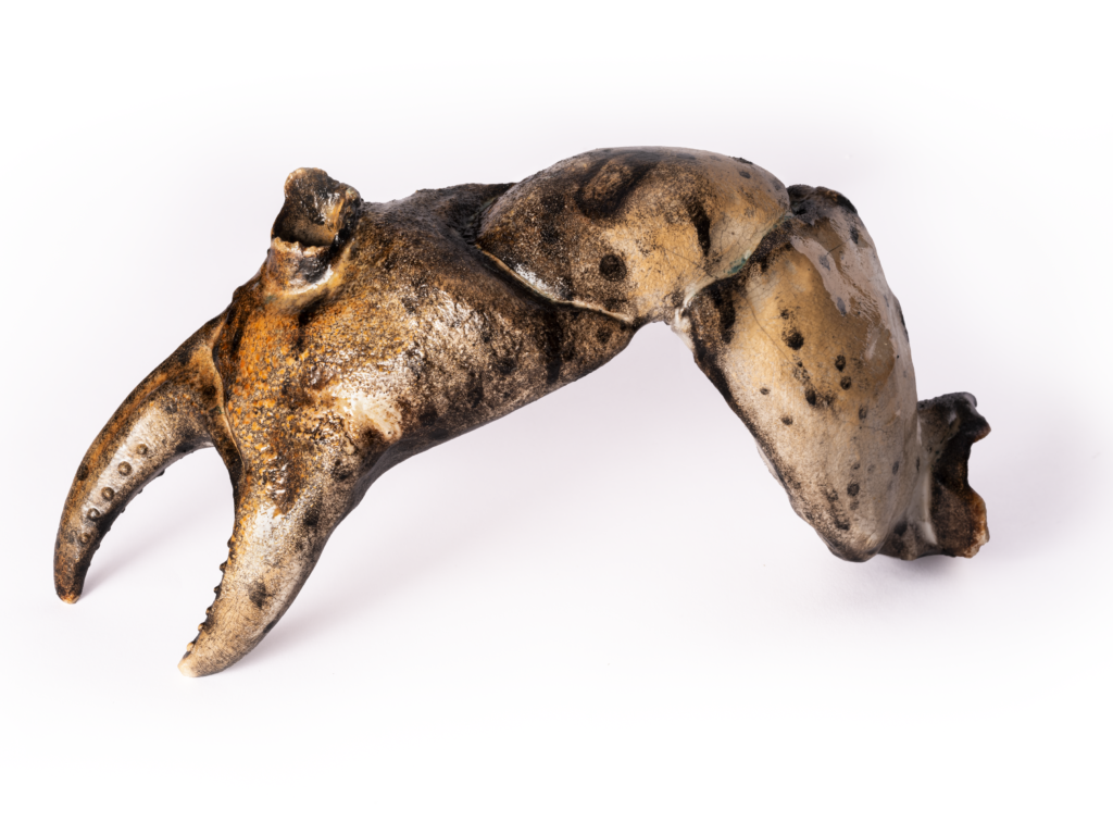 SS(XCVIP)c from the series Putiferio by Roberto Cuoghi