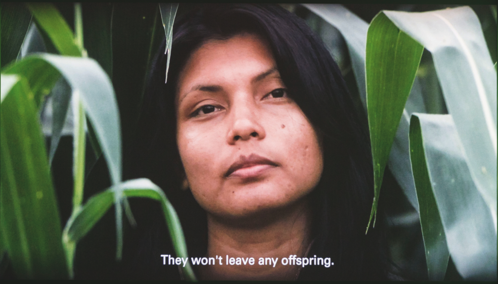 Opera "YWY, a androide (YWY, l’androide)" di Isadora Neves Marques