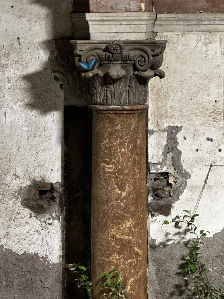 Mutual Aid – Art in Collaboration with Nature