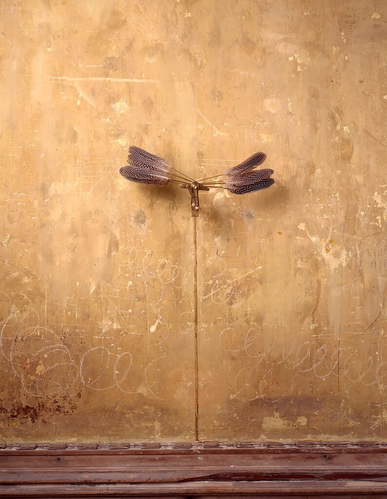 Rebecca Horn – Cutting Through the Past