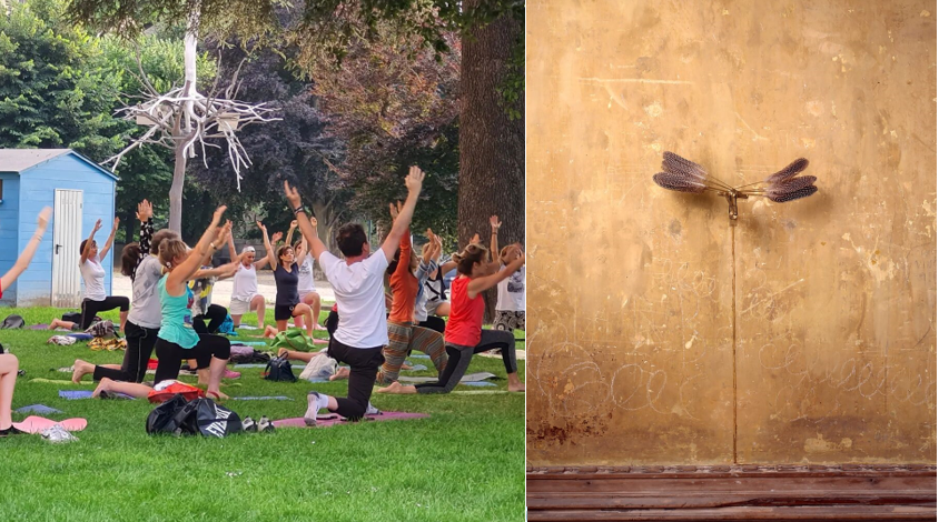 SUMMER SCHOOL FOREVER YOUNG. International Yoga Day 2025