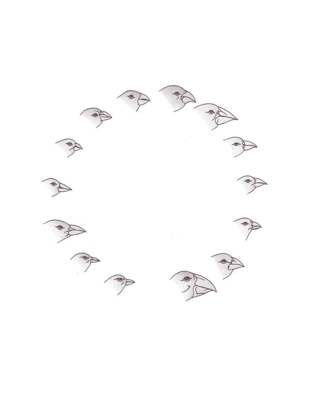 Francesco Cavaliere - messages on paper airplanes