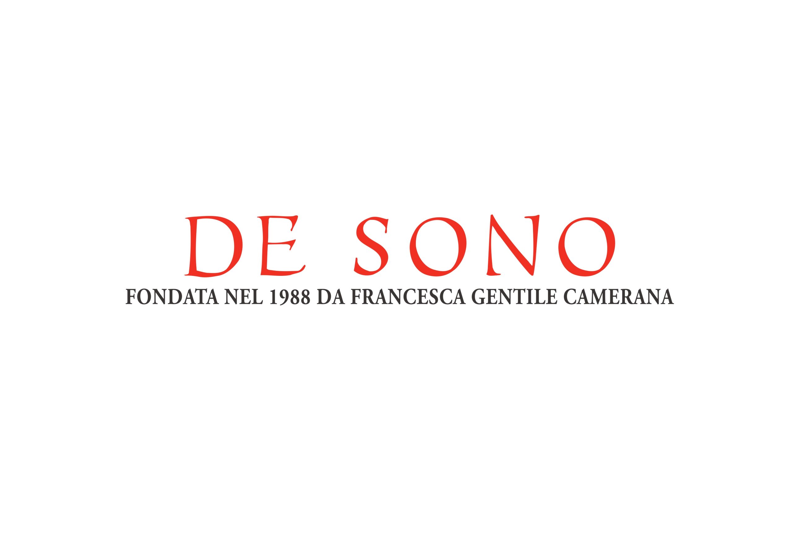 Logo Ds Sono