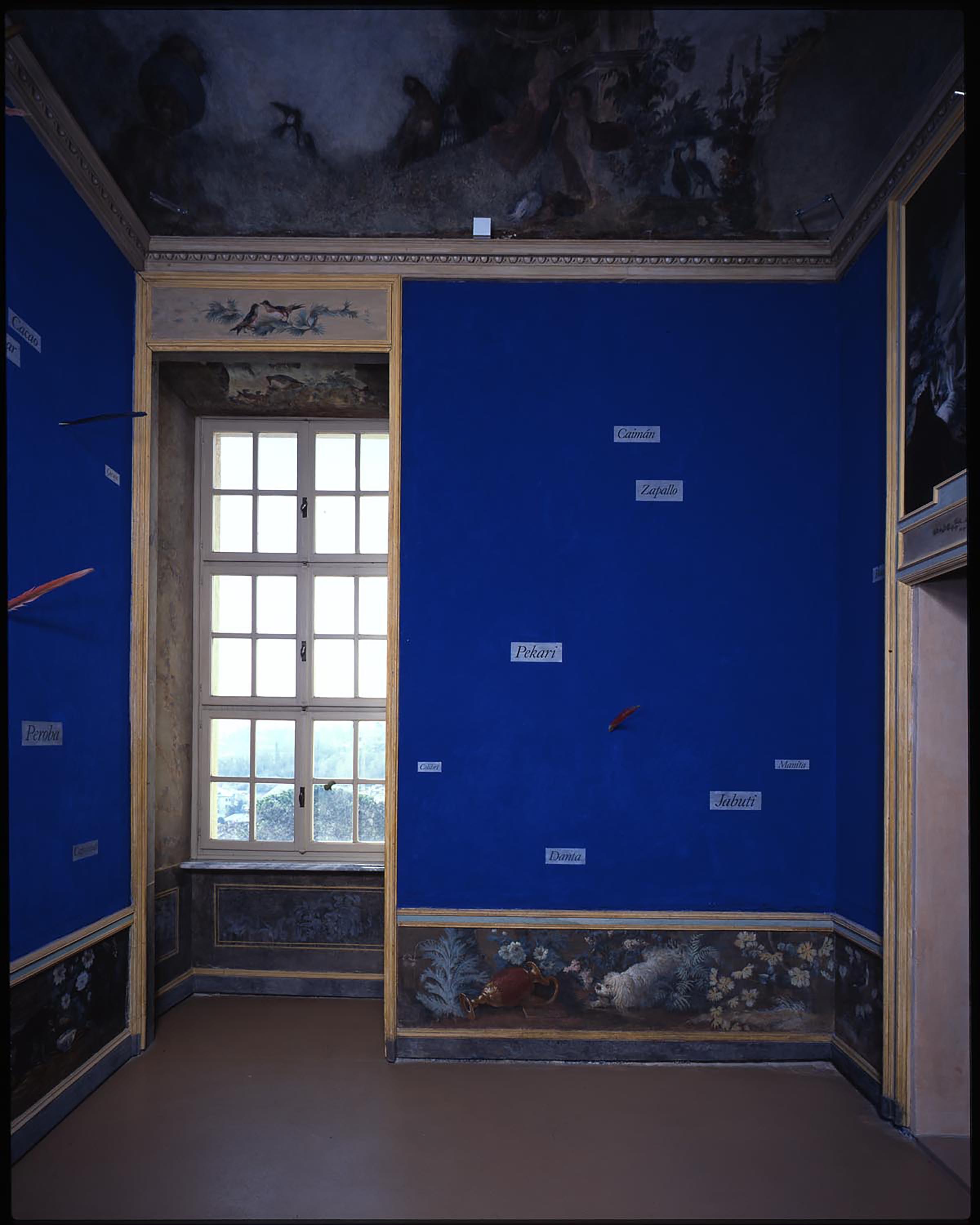 Lothar Baumgarten, Stanza di Rheinsberg, 1984