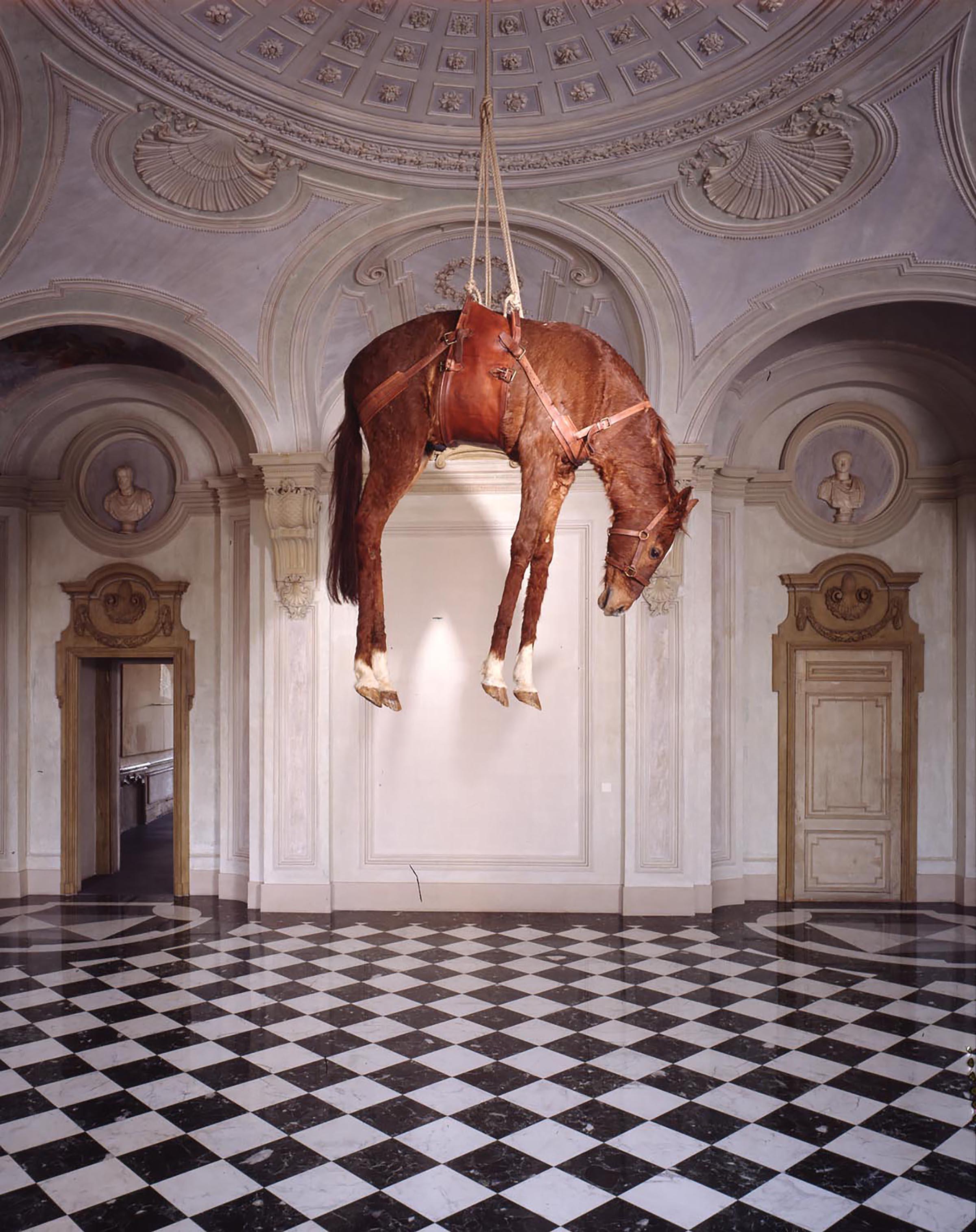 Maurizio Cattelan. Tre installazioni per il Castello - Castello di 