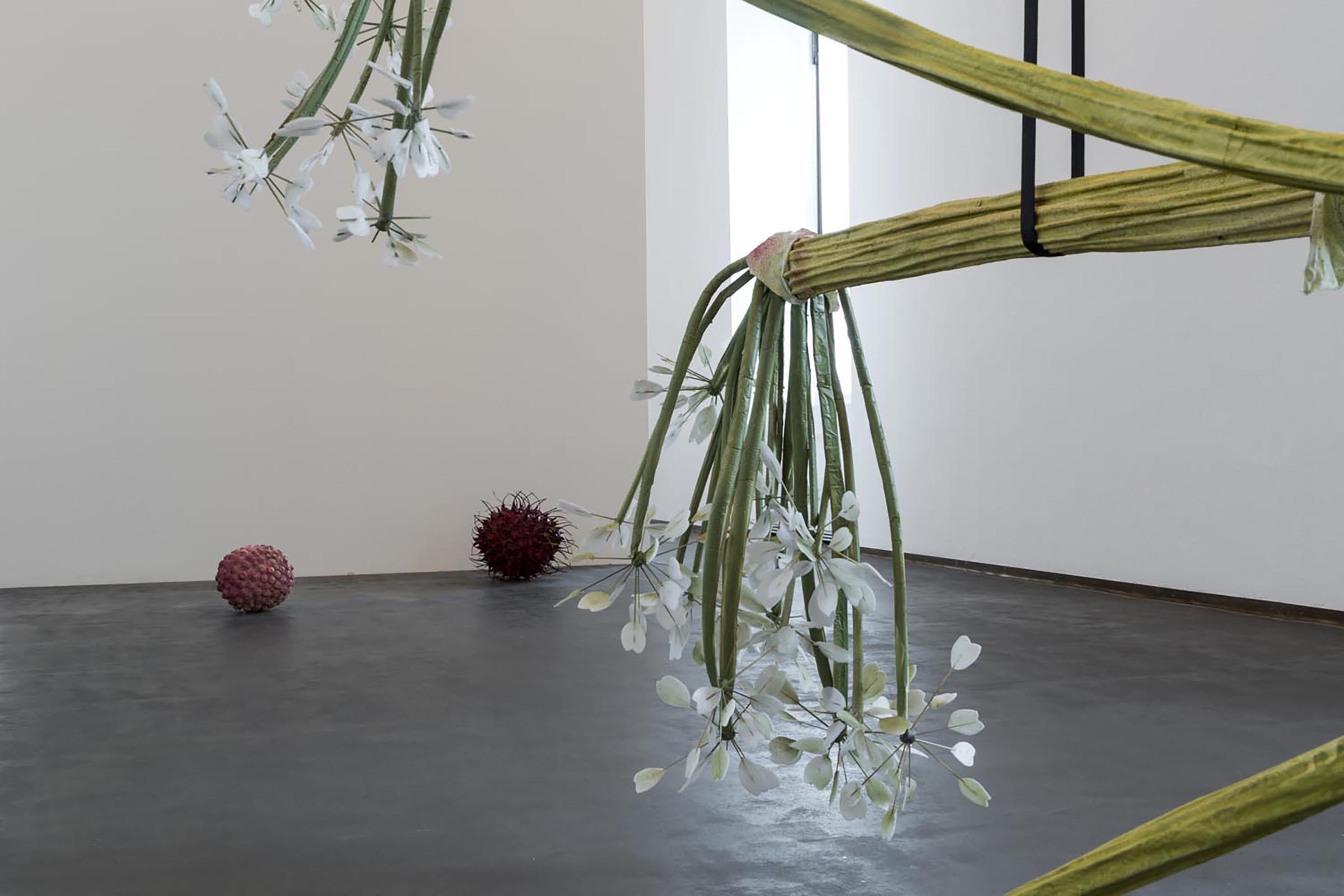 Ingela Ihrman, The Giant Hogweed, 2016 e Litchi and rambutan, 2016